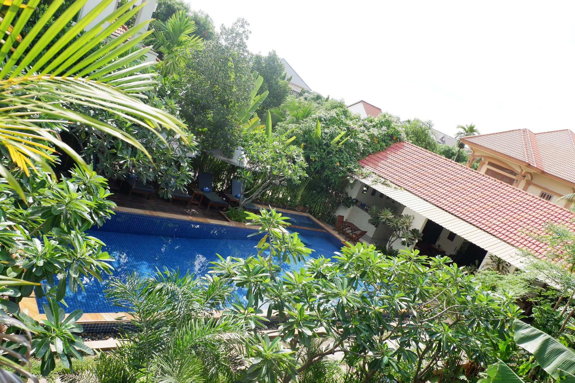 סיאם ריפ Angkor Orchid Central Resort מראה חיצוני תמונה