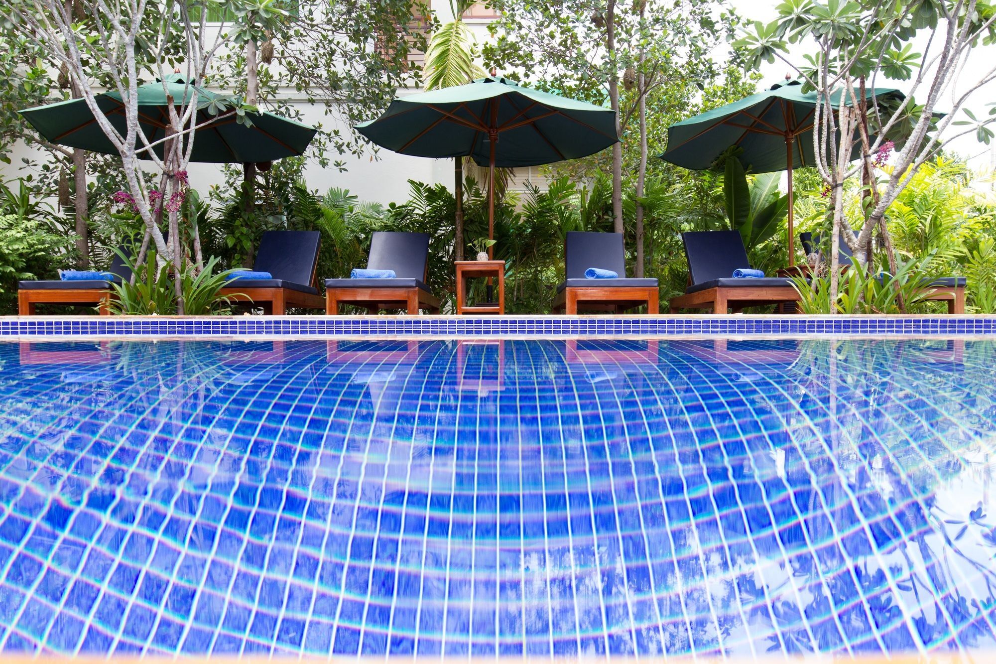 סיאם ריפ Angkor Orchid Central Resort מראה חיצוני תמונה
